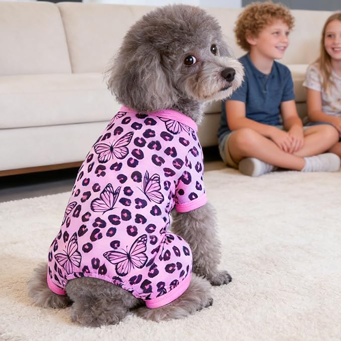 From Couch to Catwalk: How to Dress Your Pup for Every Occasion